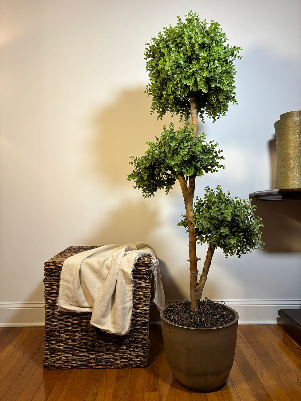 Thumbnail: 57" triple ball boxwood tree