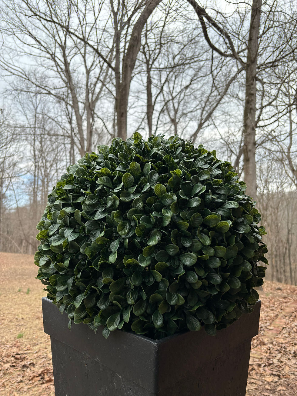 Thumbnail: the dax - large leaf boxwood topiary ball