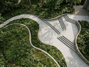 Aerial top-down view of a modern landscape design featuring organic curved concrete edging separating lush green groundcover and white wildflowers from a light gray concrete stepped terrace, with soft diagonal shadows across the pavement.