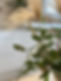 IMG_1257.jpeg