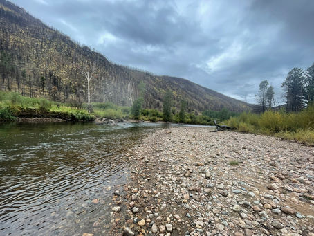 Seasons of Fly Fishing: Volume 2 — Spring