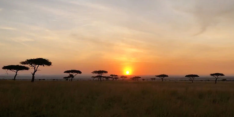 Safari Sunset_edited_edited.jpg