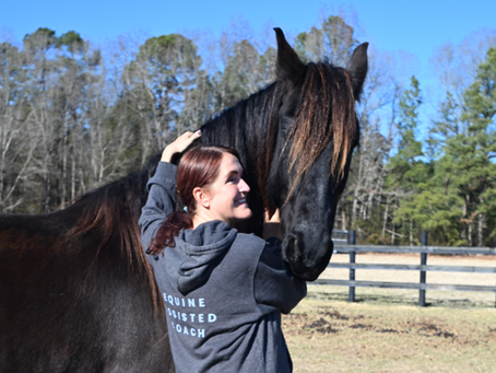 Horse assisted coach hugging horse
