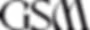 GSM_BRANDING_ISOLATED_2.png.avif