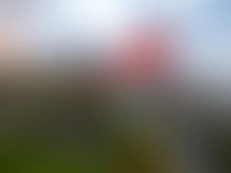 Cách dễ nhất để nhập cư vào Canada là gì?