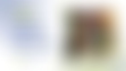 Pengertian Planogram Beserta Cara Membuatnya!