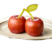 ヤマガタ フルーツバウム