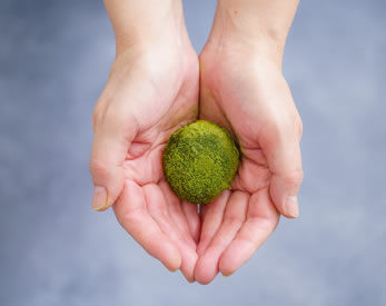 爽やかな酸味が特徴のシーベリーソーダの瓶