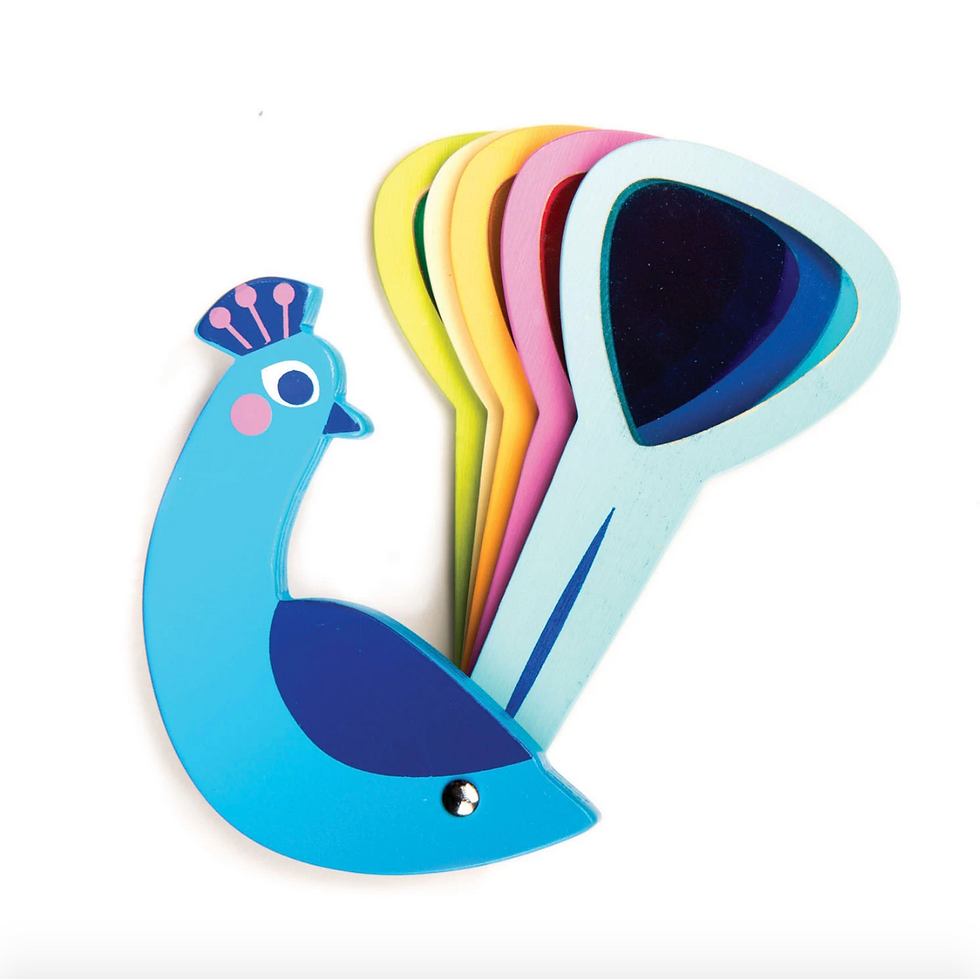 Miniaturbild: Pfau mit 5 Farben