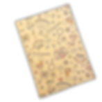 princess eco wrapping paper. recyclable wrapping paper. kids gift wrap