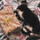 Thumbnail: nala the cat eco wrapping paper. recyclable wrapping paper. moggy cat pictured