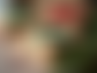 Recyclable christmas gift wrap