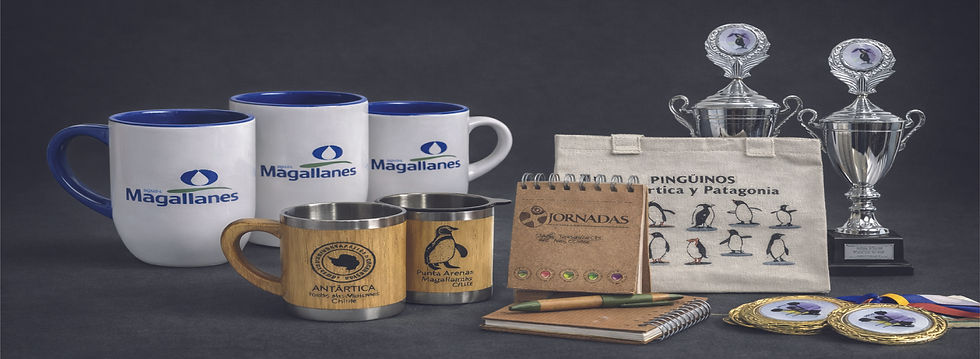 Mesa de trabajo 65-100.jpg