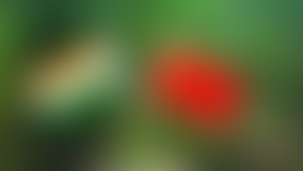 India-China ties improved after the October 2024 border agreement, with Modi-Xi meetings restoring dialogue. Normalization includes resumed flights, tourist visas, and the Kailash Mansarovar Yatra. The government may ease Press Note 3 restrictions by introducing a ‘de-minimis’ threshold for smaller investments. Strategically, this aligns with global “China Plus One” manufacturing strategies, balancing diplomacy and economic opportunity.