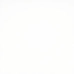 white.jpg