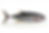 IMG_8868.PNG