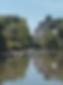 Reprise 2025 sur le Beuvron (entre BLois et Cheverny)