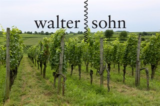 Frischer Wind im deutschen Weingarten