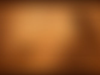 Prima donna assoluta u Bečkoj državnoj operi