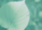 A6_Flyer_Begleitart_V2.jpg