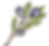 Elialogo.png