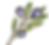 Elialogo.png