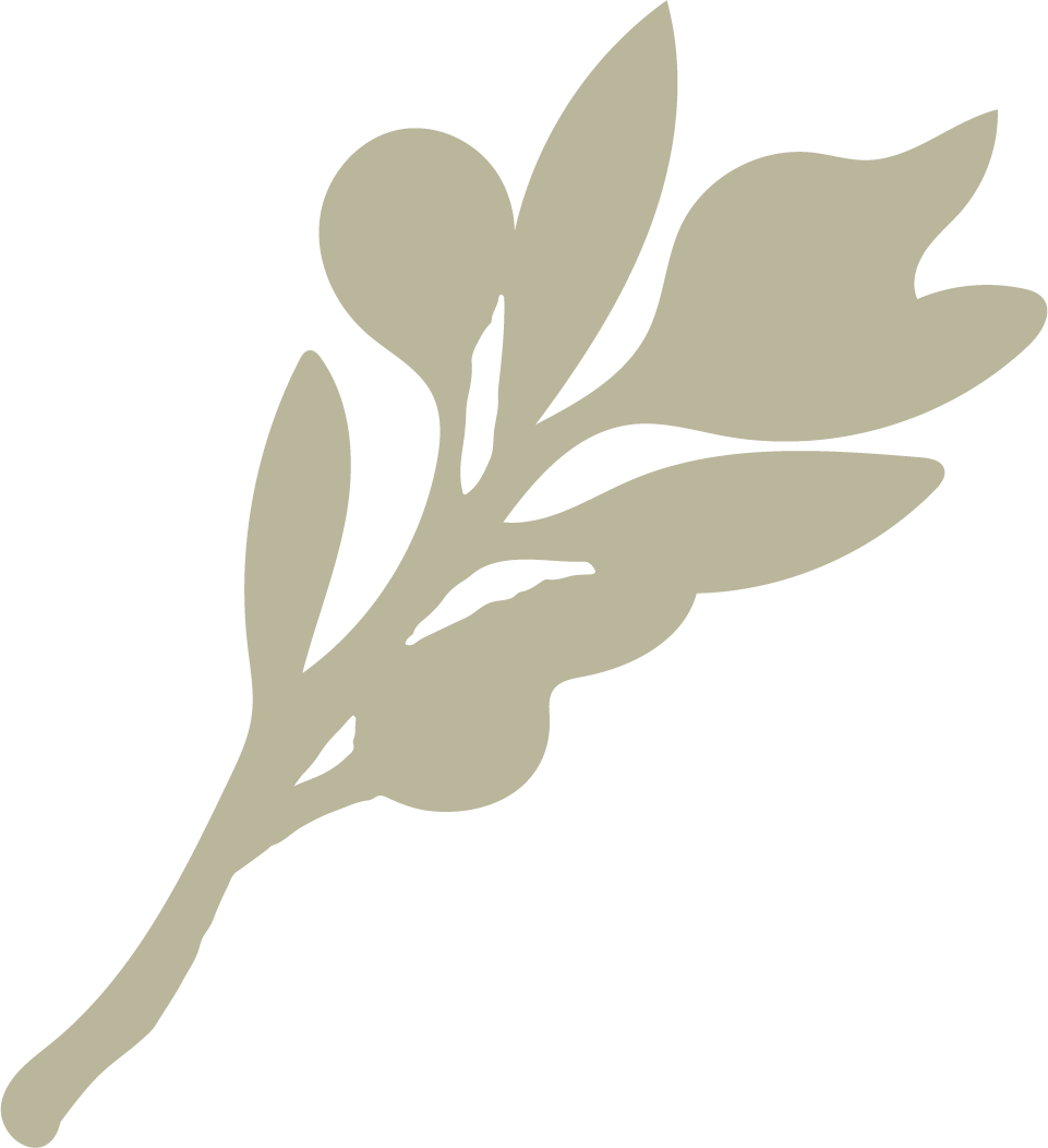 Elia_Logo_Green.png
