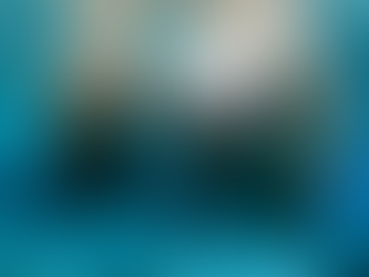 Manatee Appreciation Day