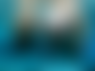 Manatee Appreciation Day