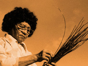 Attitude of Gratitude + November Articles