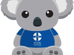 Mental Health First Aid - Training Coming Soon!