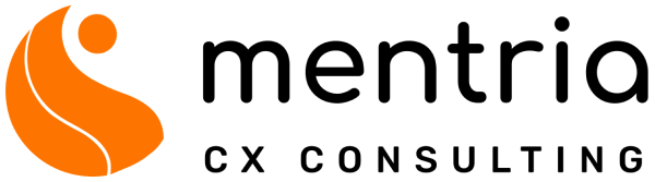 Mentria CX Strategy