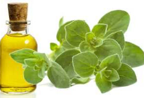 Vitamini i biljke za zdravo srce