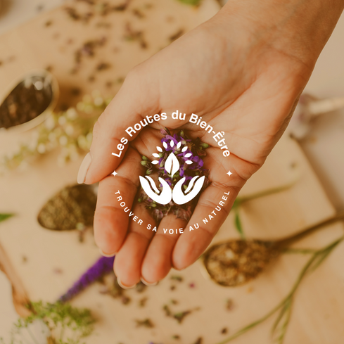 Les Routes du Bien-Être - Application mobile pour trouver sa médecine douce - Templates Réseaux sociaux
