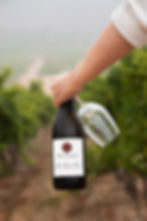 Hand holding Spier wine and glass in a Cape Town vineyard
