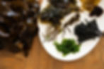 Various seaweed types for food photography Cape Town