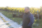 farmer standing in a sunlit Cape Town vineyard.