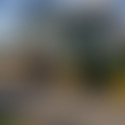 Rosko's Downtown Hayrides Recap!