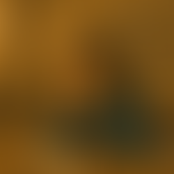 Conversaciones aplazadas