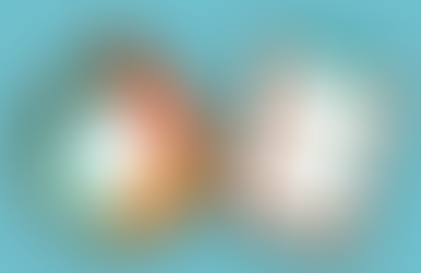 Bitácora Proyecto Final - Semana 3: Experiencia de Trabajo Colaborativo