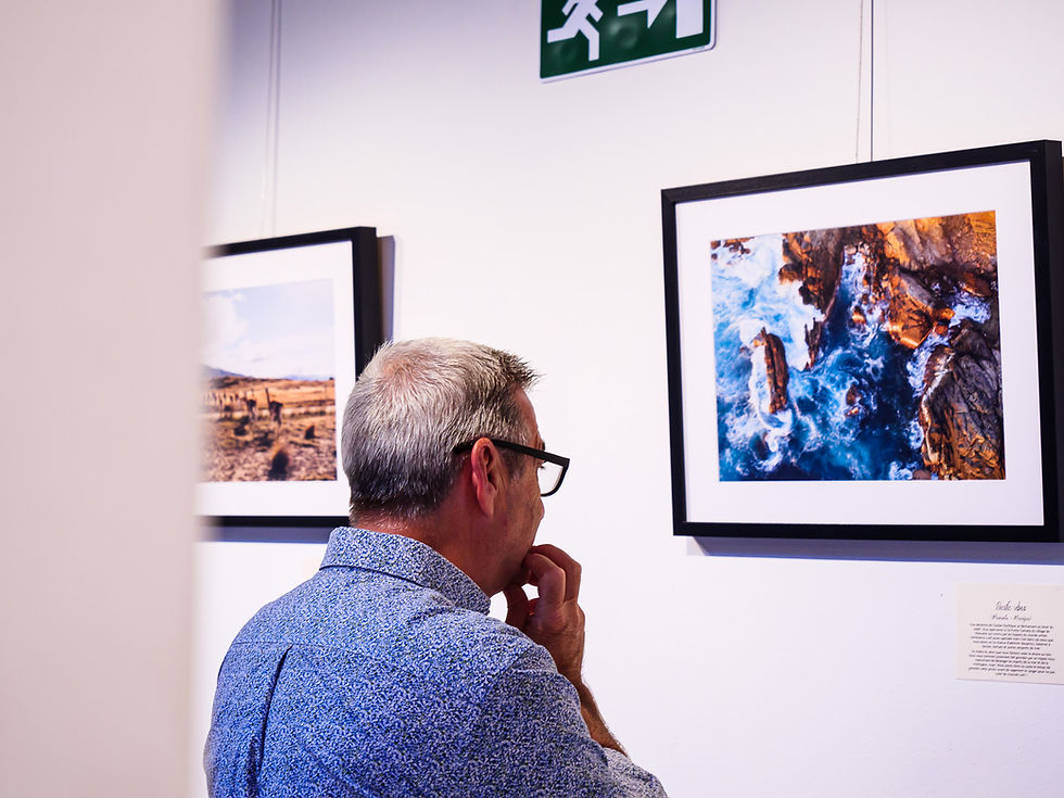 Homme regardant une photo de la mer exposition