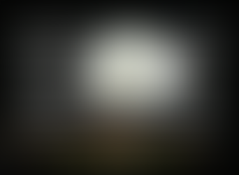 A Particular Activation of the Frontal Areas of the Brain