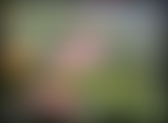 Some Realize the Self