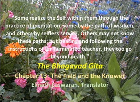 Some Realize the Self