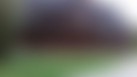 Park Miejski im.Piłsudskiego w Zakopanem - miejsce wypoczynku i spacerów