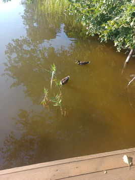 IŁAWA 2022 (459).jpg