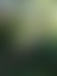 Zakopane - spacerem po mieście