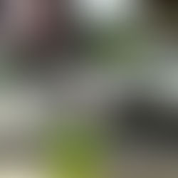 Myczkowce Ośrodek Caritas - urokliwy zakątek