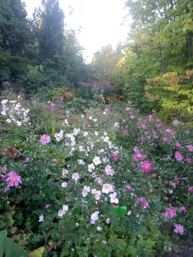 BOLESTRASZYCE (145).jpg