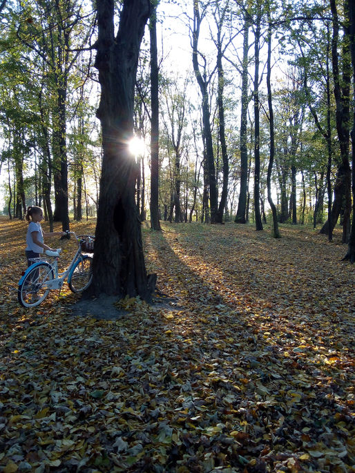Park w Tyczynie - wśród pomników przyrody